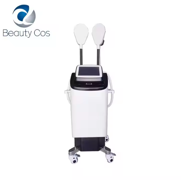 Hot Sale Vertical Water Cooling EMSING Slimming Machine for Salons